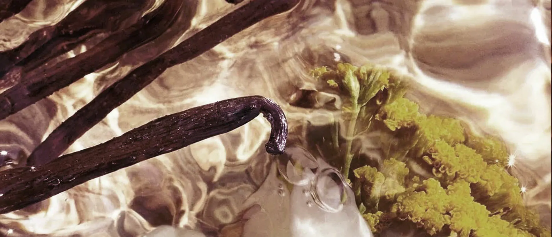 Sumérgete en el Atractivo Exótico de los Aromas Orientales