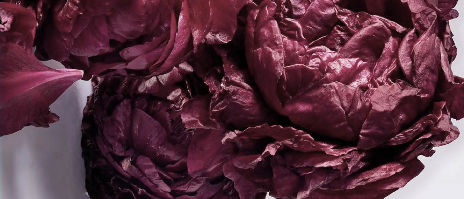 Experimenta la Elegancia Atemporal de los Aromas Amaderados con IMIXX Perfumes