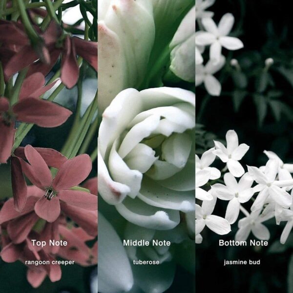 inspired by gucci s bloom retail price 108 inspired by gucci s bloom retail price 108 no 43 bloom 30827610013853 400014 890522