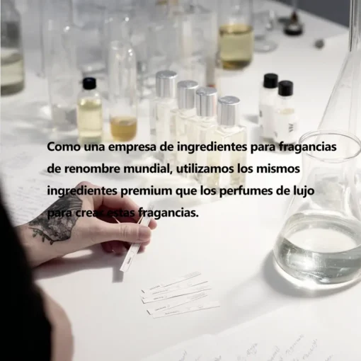 Inspirado en D&G Anthology L'Imperatrice de Dolce & Gabbana