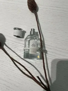No.22 Inspirado en Silver Mountain Water de Creed photo review